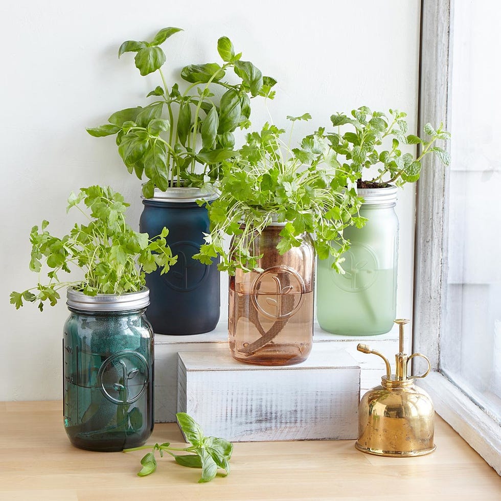 Creative herb containers
