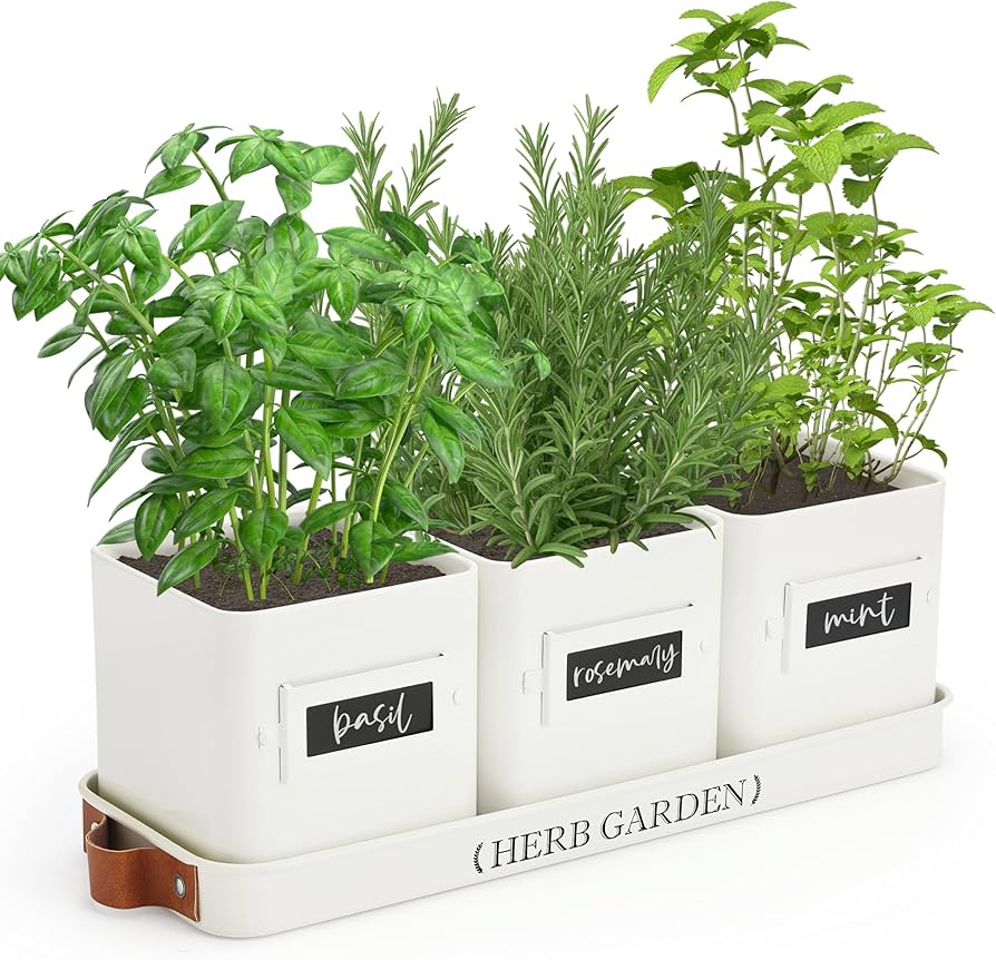 Various herb containers